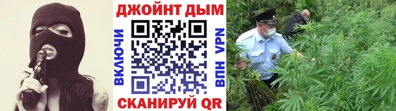 Магазин наркотиков Москва гидра маркетплейс  МЕТАДОН  Меф мяу мяу  Псилоцибиновые грибы  Конопля 