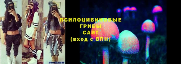 стафф Алексеевка