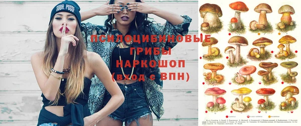 таблы Алзамай