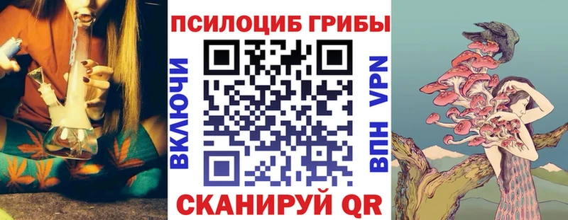 Псилоцибиновые грибы мицелий  Москва 